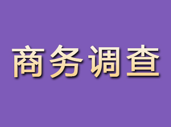 仪陇商务调查